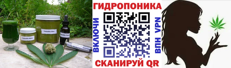 где найти наркотики  Бокситогорск  Canna-Cookies конопля 