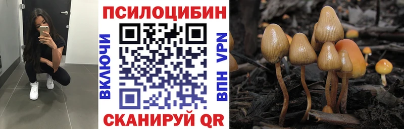 Галлюциногенные грибы ЛСД Бокситогорск